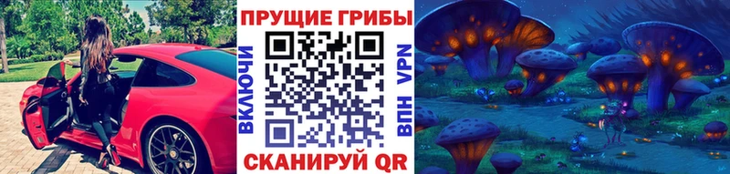 Псилоцибиновые грибы мицелий  MEGA как войти  Серпухов  магазин   